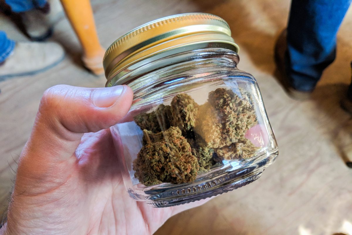 Tips for Storing Weed The Right Way